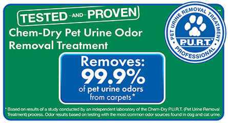 Chem-Dry Carpet Cleaning by Warren removes up to 99.9% of pet odors from carpets
