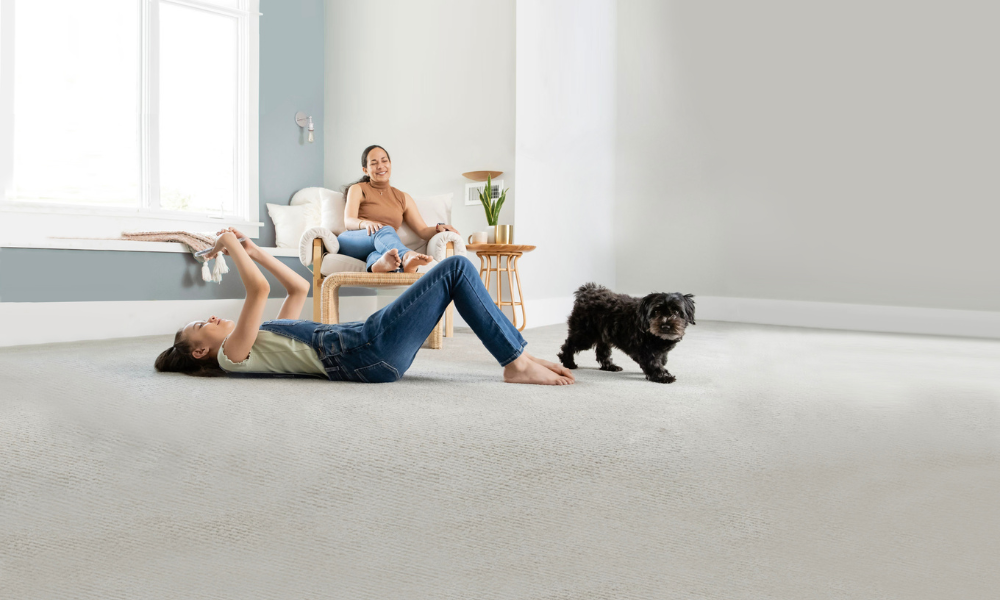 Blog for Chem-Dry Carpet Cleaning by Warren
